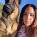 Kim Glow Instagram - Découvrez la Défense du Maître avec mon chiot Thaïger malinois de 8mois ! 💪🐶 En France, la Défense du Maître est une discipline canine qui met en avant l’obéissance, la protection et la complicité entre le chien et son propriétaire qui vise à former le chien pour qu’il puisse me protéger en cas de menace « tout en restant obéissant et contrôlable. » Dans cette vidéo, regardez comment mon jeune malinois commence à apprendre les bases de cette tradition séculaire encadré par un professionnel @agiusnicolas Obéissance, attention et lien unique sont au cœur de cette pratique qui renforce le lien indéfectible entre le chien et son maître. 🐾🏅 Étant enceinte de 7mois je ne peux malheureusement pas le tenir moi-même à l’entraînement pour l’instant…merci à Nanou de le tenir à ma place💙 Mais hâte dès que possible de créer moi même ce lien avec mon toutou d’amour💙 Le mordant peut être mal compris, mais pour nous, c’est un engagement qui va au-delà des apparences. @thaigerglow a sa licence officielle en France, ce qui signifie que nous pratiquons dans le respect des règles établies. Les regards peuvent juger, mais c’est notre passion et notre vie. merci donc de garder vos jugement négatif pour vous. 🏆🐕 #malinois #bergerbelgemalinois #malinoisofinstagram #malinoislovers #dog #DéfenseDuMaître #ComplicitéCanine #kimglow