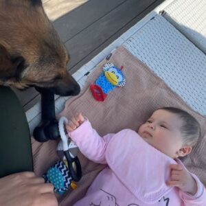 Kim Glow Instagram - À ceux qui s’inquiètent de la relation entre notre chien et notre fille !!! 
Oui, notre Malinois peut être un peu brusque parfois, mais c’est simplement sa nature de chien joueur et énergique. Il adore notre fille et essaie de lui montrer son amour en lui apportant des jouets et en lui faisant des câlins. Il est en train d’apprendre à être plus doux avec elle au fur et à mesure qu’ils grandissent ensemble. Il n’y a pas de malice dans ses actions, juste de l’amour pur et un désir de jouer. Nous sommes là pour superviser et guider leur interaction, et nous avons une confiance totale en la gentillesse de notre chien envers notre petite fille. 🐾💖 

 #AmourVéritable #SimplicitéHeureuse #malinois #babygirl #bergerbelgemalinois