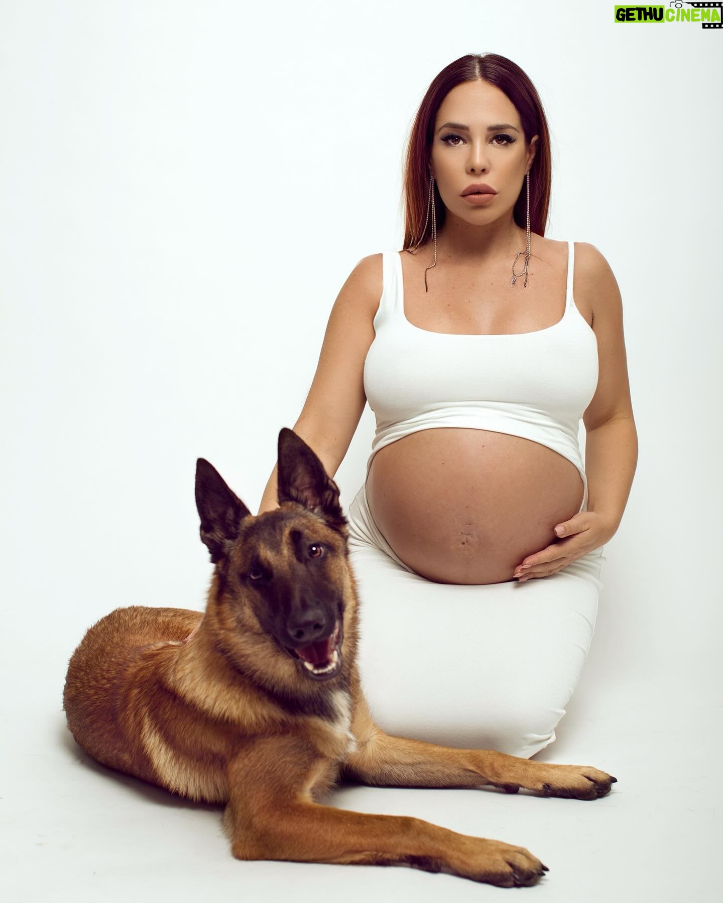 Kim Glow Instagram - Mon Malinois Thaïger sera bien plus qu'un ami à quatre pattes pour ma fille. Il sera son grand frère protecteur, son confident, son complice de jeux. Ces instants partagés en famille, où nous préparons ensemble l'arrivée de notre nouvelle petite merveille, sont le prélude d'une aventure extraordinaire qui nous attend. 🐾 📸: tellement de belles photos, souvenirs pour la vie grâce a @marcaurelphotography 😍 #pregnancy #pregnant #malinois #bergerbelge #ComplicitéCanine @thaigerglow