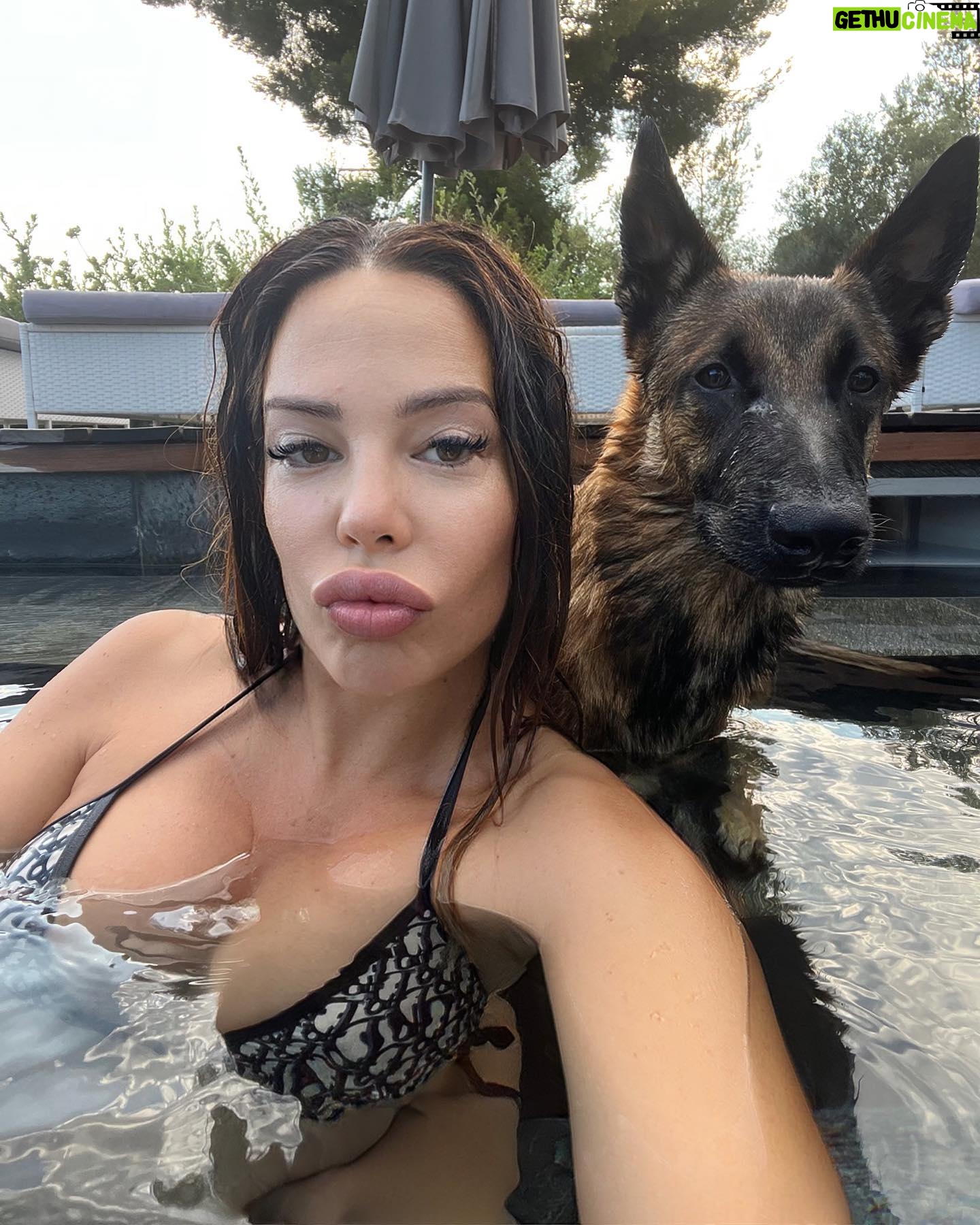 Kim Glow Instagram - Joyeux 7 mois mon @thaigerglow 7 mois d'adoration et de bonheur ! 💙 Il demande temps et énergie pour être comblé, alors je le fais courir, nager, et je veille à sa stimulation mentale et physique chaque jour. Un compagnon plein de vie ! En été, rappelons que nos animaux sont comme des enfants, nécessitant soins et amour. Ne les abandonnons pas. Assurez-vous de leur fournir eau, ombre et exercice. Ne les laissez jamais dans une voiture chaude. Soyons responsables et aimants envers nos compagnons fidèles. #ÉtéAvecNosAnimaux 🌞 #malinois #malinoisofinstagram #malinoislovers #malinoispuppy #malinoisworld #bergerbelge #bergerbelgemalinois #chien #chienmalinois #summer2023 #diorbikini