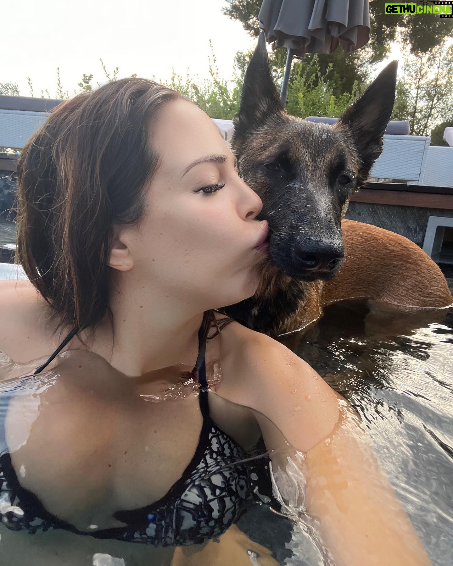 Kim Glow Instagram - Joyeux 7 mois mon @thaigerglow 7 mois d'adoration et de bonheur ! 💙 Il demande temps et énergie pour être comblé, alors je le fais courir, nager, et je veille à sa stimulation mentale et physique chaque jour. Un compagnon plein de vie ! En été, rappelons que nos animaux sont comme des enfants, nécessitant soins et amour. Ne les abandonnons pas. Assurez-vous de leur fournir eau, ombre et exercice. Ne les laissez jamais dans une voiture chaude. Soyons responsables et aimants envers nos compagnons fidèles. #ÉtéAvecNosAnimaux 🌞 #malinois #malinoisofinstagram #malinoislovers #malinoispuppy #malinoisworld #bergerbelge #bergerbelgemalinois #chien #chienmalinois #summer2023 #diorbikini