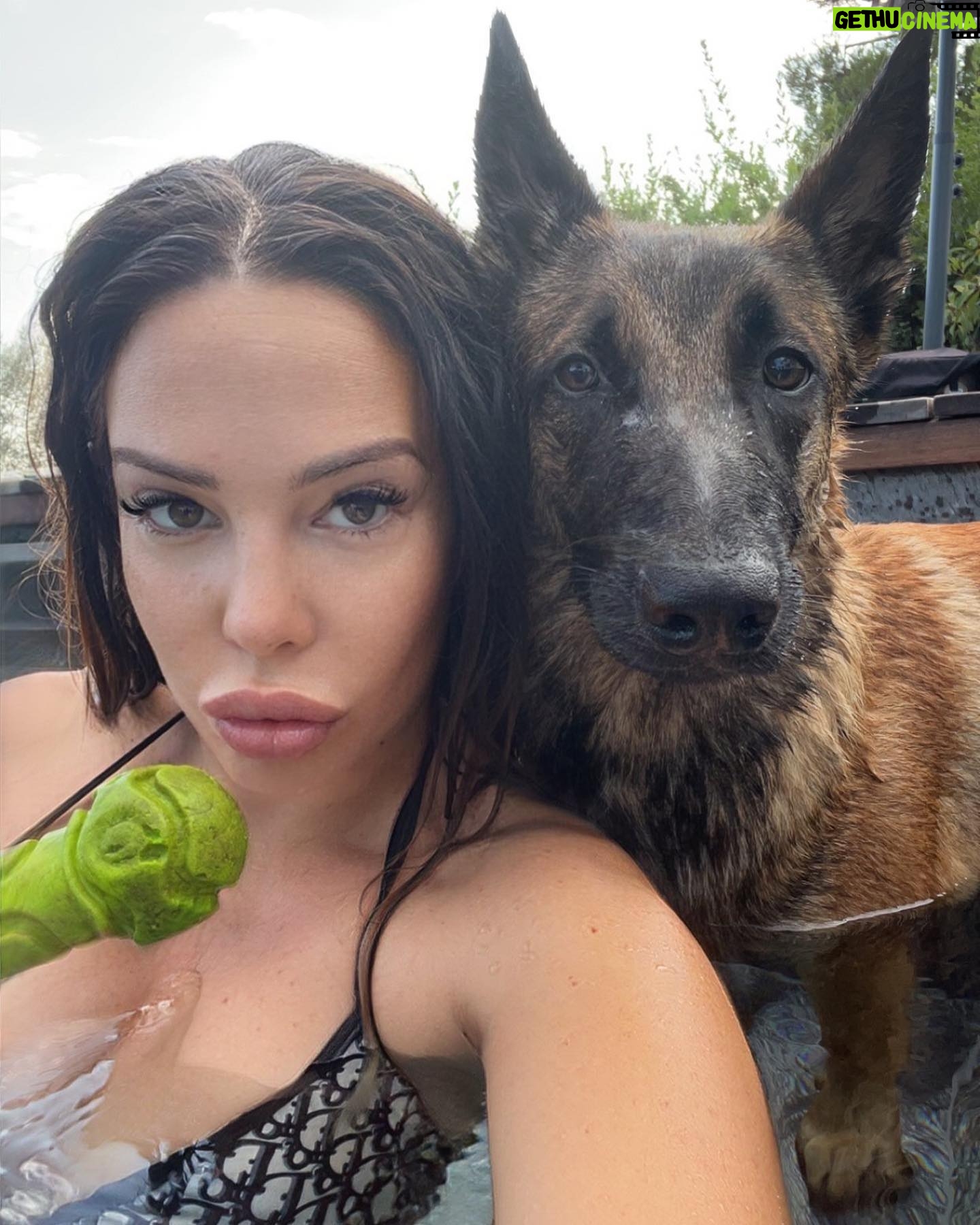 Kim Glow Instagram - Joyeux 7 mois mon @thaigerglow 7 mois d'adoration et de bonheur ! 💙 Il demande temps et énergie pour être comblé, alors je le fais courir, nager, et je veille à sa stimulation mentale et physique chaque jour. Un compagnon plein de vie ! En été, rappelons que nos animaux sont comme des enfants, nécessitant soins et amour. Ne les abandonnons pas. Assurez-vous de leur fournir eau, ombre et exercice. Ne les laissez jamais dans une voiture chaude. Soyons responsables et aimants envers nos compagnons fidèles. #ÉtéAvecNosAnimaux 🌞 #malinois #malinoisofinstagram #malinoislovers #malinoispuppy #malinoisworld #bergerbelge #bergerbelgemalinois #chien #chienmalinois #summer2023 #diorbikini