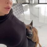 Kim Glow Instagram - #malinois #bergerbelgemalinois #malinoislovers #malinoisofinstagram #malinoisworld #belgianmalinois #dog #dogsofinstagram