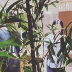 Kim Hee-seon Instagram – 🎧 < ATO ; 아름다운 선물 展 >  김희선 ( E : PLE ) 

더  현대 6 층 ㅡ 여의도
2023년 9월 22일부터 ~ 10월 15일까지

💛이번 전시는 여러분들에게 특별한
선물이 되었으면 합니다💋

#미술 #전시 #ATO #아름다운선물 #김희선 #더현대 #hinge_entertainment #h.art.ent #ATO #아름다운선물展 #초대전시 #무료전시