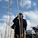 Kim Hieora Instagram - 춥고 더웠지만 하늘이 다 했던 어느날 . 오늘도 함께해요! 9:20분 tvn에서!! ❤️