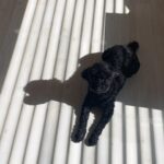 Kim Hyang-gi Instagram - 이런거저런거