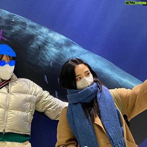 Kim Hyang-gi - 33.4K Likes - 행복하세요행복하세요행복하세요행복하세요행복하세여행복하세오행복하세요행복하셔요행복하셔유행복하세오행복하세요