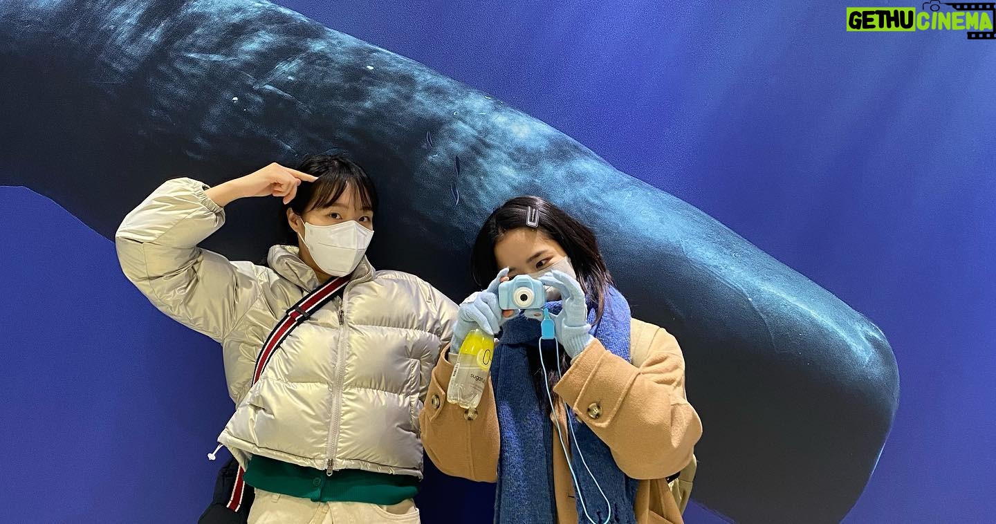 Kim Hyang-gi - 33.4K Likes - 행복하세요행복하세요행복하세요행복하세요행복하세여행복하세오행복하세요행복하셔요행복하셔유행복하세오행복하세요