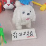 Kim Hyang-gi Instagram - 올해5월은 휴일마다 비🌺