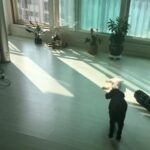 Kim Hyang-gi Instagram -