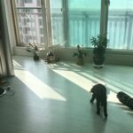 Kim Hyang-gi Instagram -