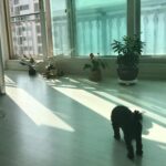 Kim Hyang-gi Instagram -
