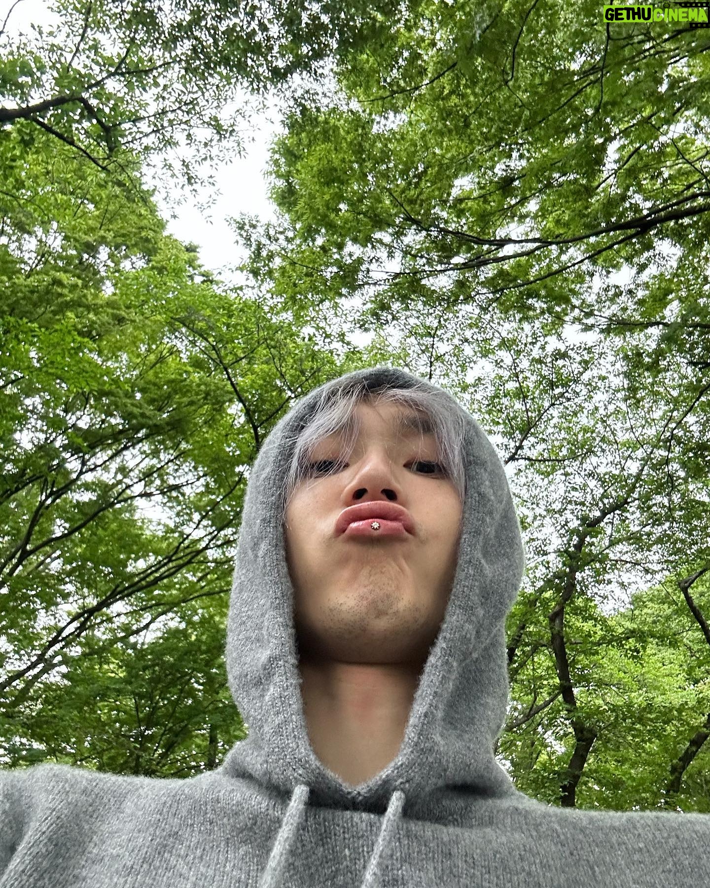 Kim Hyo Jong - 397.5K Likes - 👋🌳