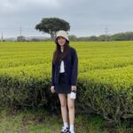 Kim Hyun-soo Instagram -