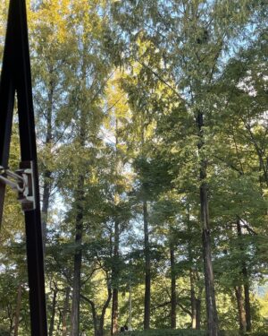 Kim Hyun-soo Instagram - ☀️🍂
