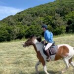 Kim Jae-kyung Instagram - 🌿🐴🌿