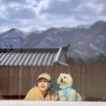 Kim Jae-kyung Instagram – 힐링🌿🐶🌿