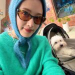 Kim Jae-kyung Instagram – 🌿🤪❄️🍊🐶

#alchemistJK