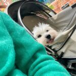 Kim Jae-kyung Instagram – 🌿🤪❄️🍊🐶

#alchemistJK