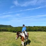 Kim Jae-kyung Instagram - 🌿🐴🌿