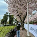 Kim Jae-kyung Instagram - 김여사 환갑기념 꽃놀이🌸