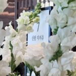 Kim Ji-woo Instagram - Daily🫧