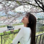 Kim Ji-woo Instagram - 🍧🌸