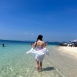 Kim Ji-woo Instagram - 🐬🐳🪼