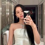 Kim Jisoo Instagram - ♥️ @cartier #CartierHighJewelry #LeVoyageRecommencé