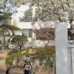 Kim Na-young Instagram - 사방을 둘러봐도 꽃인 아름다운 봄이다🌸🌷