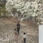 Kim Na-young Instagram - 사방을 둘러봐도 꽃인 아름다운 봄이다🌸🌷