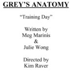 Kim Raver Instagram – “What a gift this episode was to direct! I will be forever grateful for the incredible collaboration, and the #GreysAnatomy and #Shondaland family. Thank you to the amazing, writers, producers, mentors, brilliant actors, and crew who lifted me up during the making of episode #1911 “Training Day” ❤️” – Kim Raver
