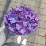 Kim Seul-ki Instagram - 💜
