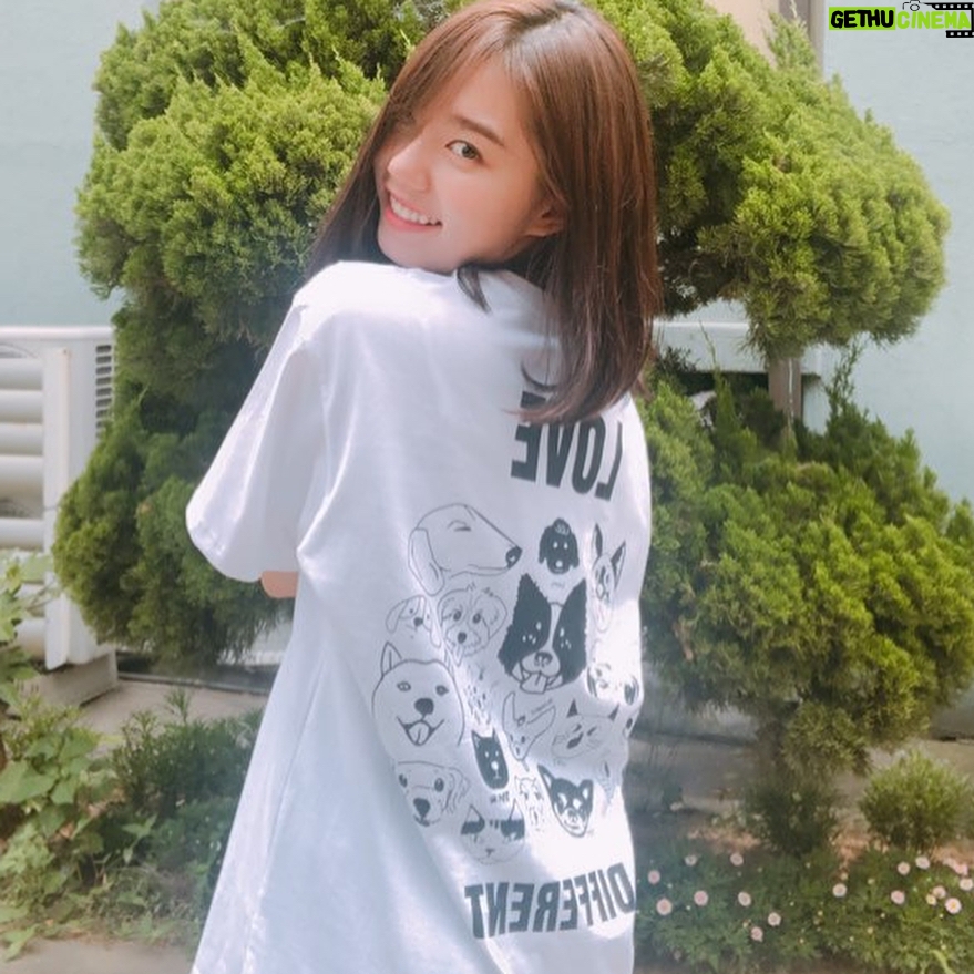 Kim So-hye - 117.2K Likes - 유기동물의 힘이 되어주세요💕
#반려동물은사랑입니다 #포인핸드 #러브캠페인 #러브티셔츠