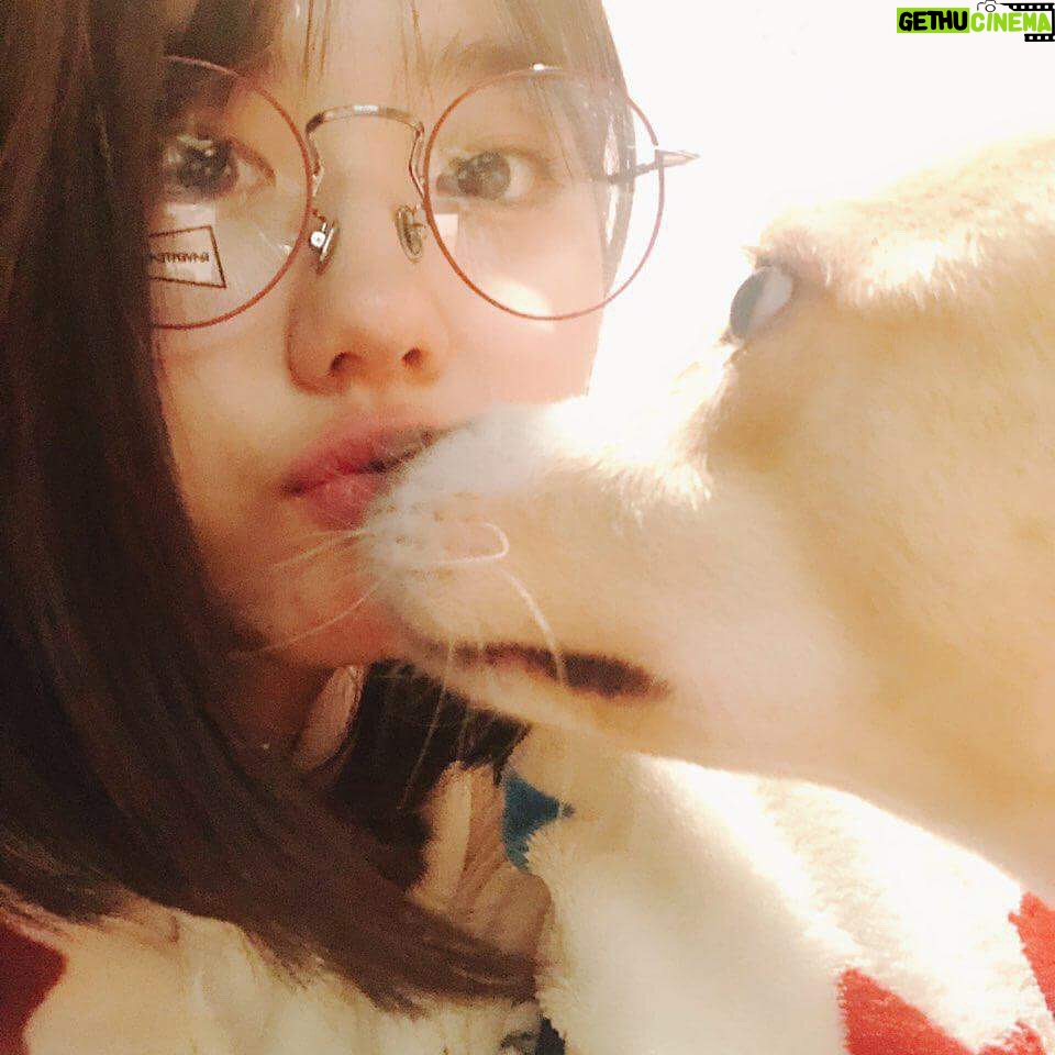 Kim So-hye - 144.3K Likes - #savealife #cremagreen #유기동물 #유기견보호
유기동물의 힘이 되어주세요❤️
우리 밀크도 쑥쑥 컸어요ㅎ3ㅎ💕