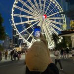 Kim So-hyun Instagram - 🦘🎡