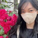 Kim So-yeon Instagram - 🌹♥️