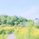 Kim So-yeon Instagram –