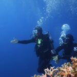 Kim Sook Instagram - 난 니모에게 악수를 청했다!!!! #letsgodiving #bohol