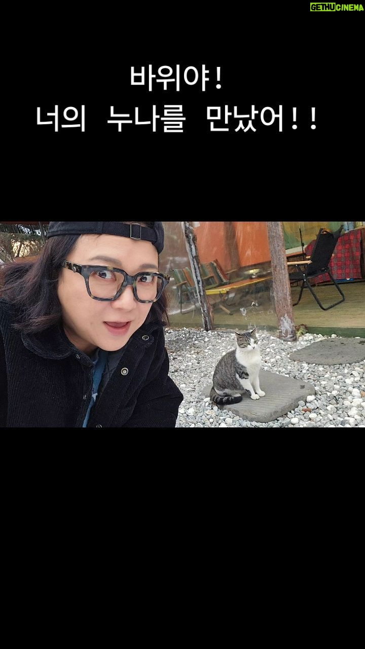 Kim Sook Instagram - 오랜만에 캠핑장 갔다가 바위랑 똑같이 생긴 아이를 봤오.누나인지 여동생인지 아님 엄마일수도.. 신기하게도 그 아이는 내 옆에 계속 앉아있어. 마치 예전부터 알고있던 아이처럼.임신을 하고 있었는데.. 앗..그럼 바위에게 조카가 생기는건가?? 암튼 신기하네~