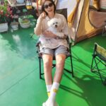 Kim Yeon-koung Instagram - 우리 집 막내 잭슨이 🐶 #우리집옥상 #캠핑 #즐추