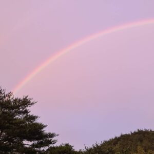 Kim Yeon-koung Instagram - 힘든 시간 함께 했던 선수들 감사합니다.
비록 끝까지 함께 하지 못하지만 못 가는 선수들 몫까지 최선을 다해 열심히 하고 돌아오겠습니다.
#remeber #olympics #roster12