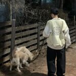 Kim Yong-ji Instagram - 멍멍이들와 함께하는 겨울밤🩵