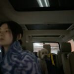Kim Yong-ji Instagram - 멍멍이들와 함께하는 겨울밤🩵
