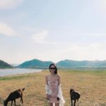 Kimberley Chen Instagram - afternoon by the water with goats ☁️ sanQ @ccd.com.tw ❤️‍🔥