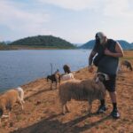 Kimberley Chen Instagram - afternoon by the water with goats ☁️ sanQ @ccd.com.tw ❤️‍🔥