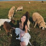 Kimberley Chen Instagram - afternoon by the water with goats ☁️ sanQ @ccd.com.tw ❤️‍🔥