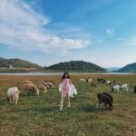 Kimberley Chen Instagram - afternoon by the water with goats ☁️ sanQ @ccd.com.tw ❤️‍🔥