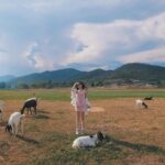 Kimberley Chen Instagram - afternoon by the water with goats ☁️ sanQ @ccd.com.tw ❤️‍🔥