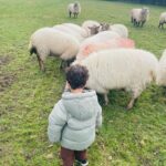 Kimberley Walsh Instagram - A day on the farm with my favourite vet @drjgreenwood and Dolly of course ❤️🐖🐑🐔. My boys had the BEST time and I finally got to meet little Oliver who is just delicious 😍. Swipe to see me stroking a pig… who knew they felt so tough 🤣. I’ve never been great with animals but I’m determined to make sure my little men are 😂❤️❤️❤️